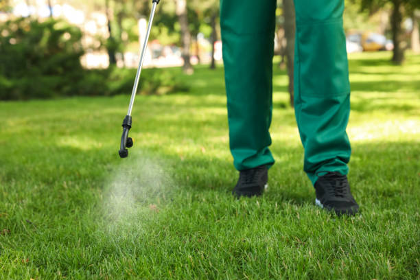 Best Pest Removal Services  in West Bradenton, FL