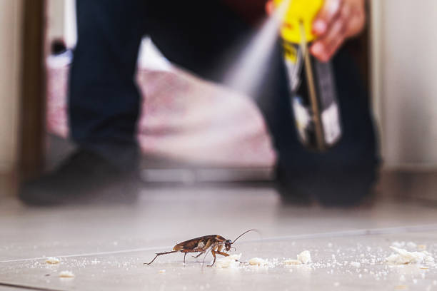 Best Pest Removal Services  in West Bradenton, FL
