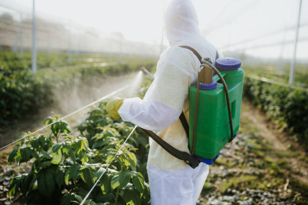 Best Affordable Pest Control Services  in West Bradenton, FL